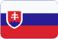 ICN Czech Republic a.s. Slovensky
